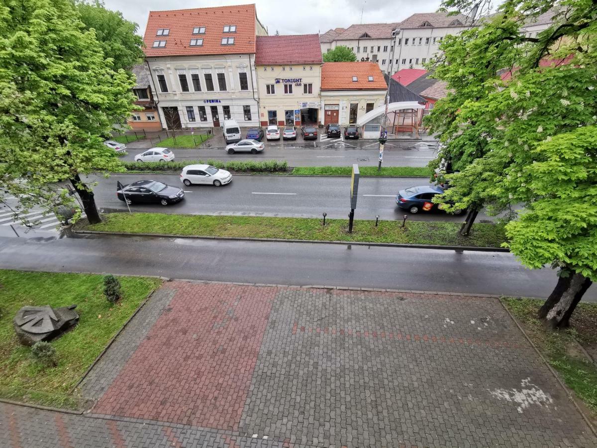 Pensiunea Stefan Bistrita  Exterior photo
